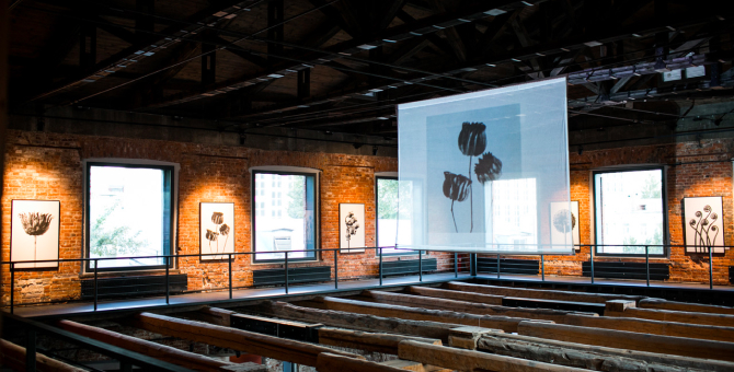 «Синхронизация» и Loewe Perfumes запускают цикл лекций об искусстве, природе и истории моды