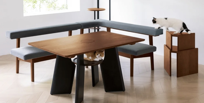 В Японии можно купить стол с отверстием для кошки в центре