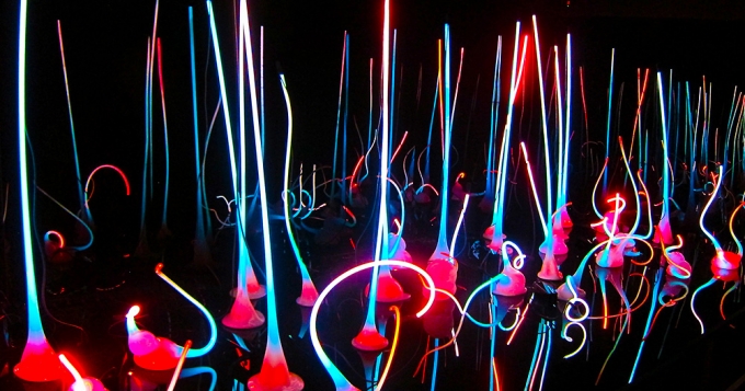 Стеклянный сад в Монреальском музее изящных искусств