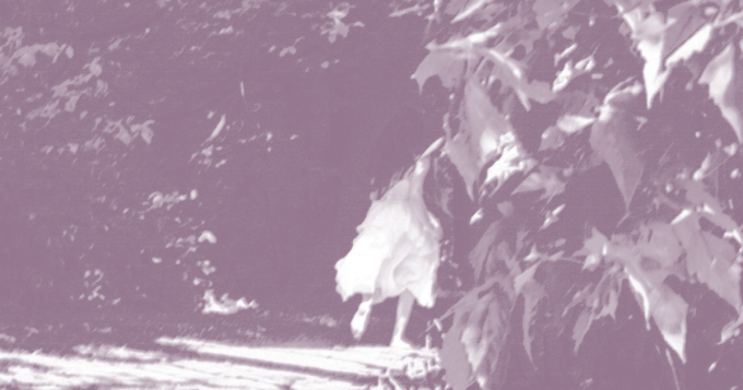 «Он создавал слова, которых не существовало, но которые звучали так, словно существовали всегда»: Ольга Хейфиц — о Льюисе Кэрролле, волшебнике и философе