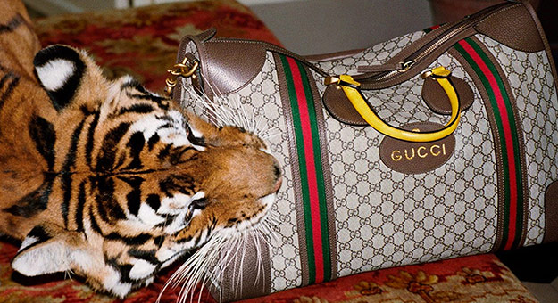 Тигры, львы и жирафы в новой кампании Gucci