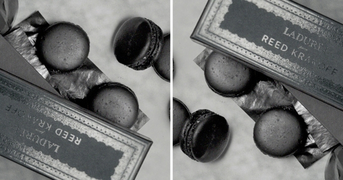 Модные сладости: Ladurée x Reed Krakoff