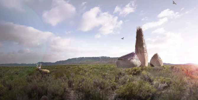 У фестиваля Burning Man появится постоянная площадка