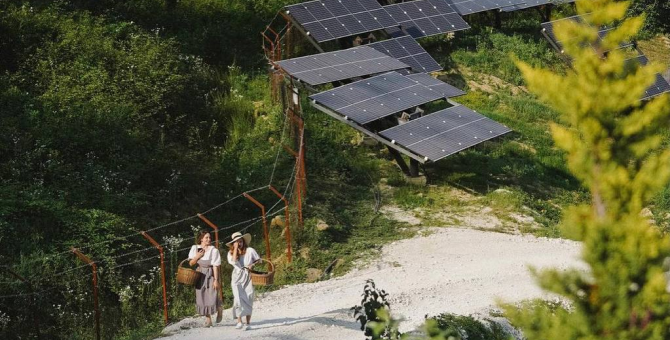 Суд удовлетворил иск Генпрокуратуры к бренду «Краснополянская косметика»