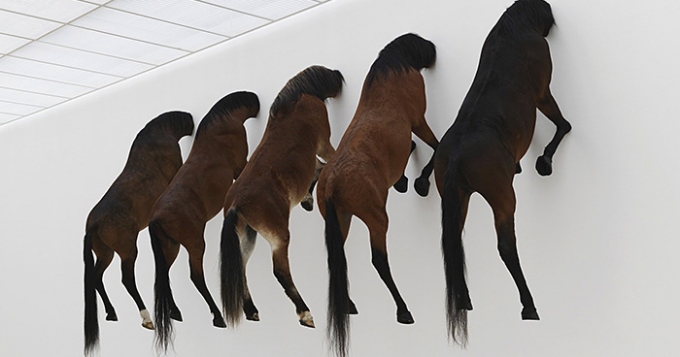 Три выставки уходящего лета, которые нельзя пропустить