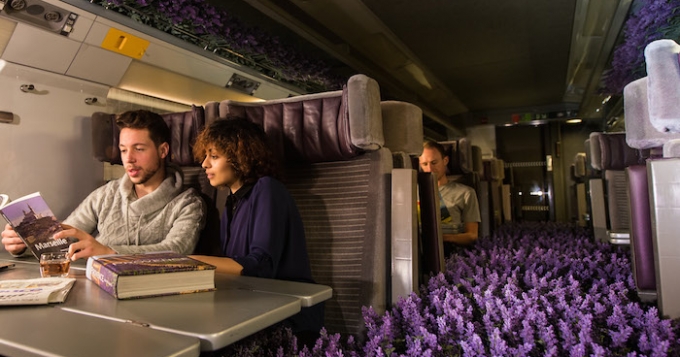 Лавандовые поля в поезде Eurostar по случаю запуска нового направления
