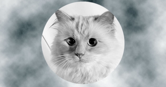 Девушка недели: Шупетт Лагерфельд