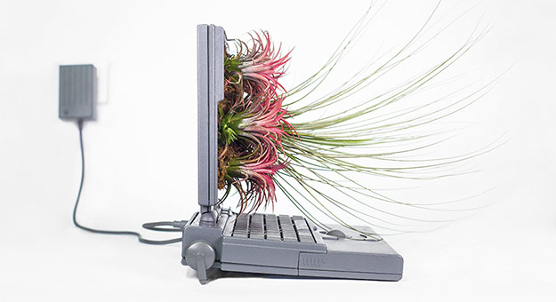 Художник превращает технику Apple в горшки для растений