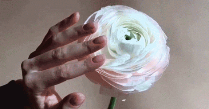 Открылись! О чем надо помнить при посещении салона красоты