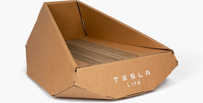Tesla представила необычный аксессуар для кошек