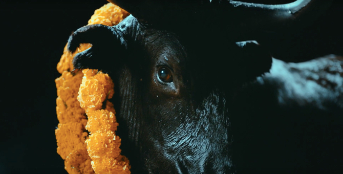 Группа Foals выпустила клип на песню со второй части альбома «Everything Not Saved Will Be Lost»