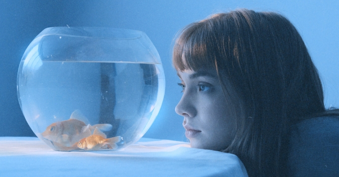 Группа «внимание брусника!» выпустила новый альбом