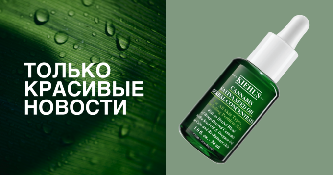 Духи для фанатов фламандской живописи, мейкап цвета сакуры и другие новинки недели