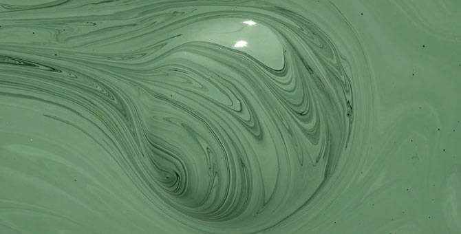 Эксперты назвали главные цвета сезона осень-зима 2022/2023