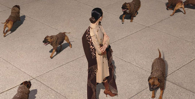 Burberry выпускает худи для собак
