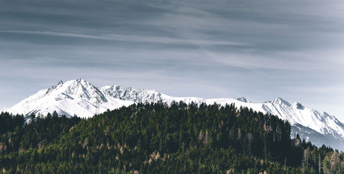 Австрия откроет горнолыжные курорты и запретит вечеринки