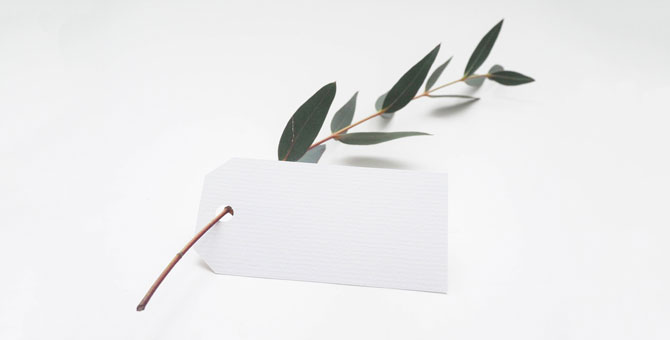 Почему онлайн-торговля вреднее для экологии, чем офлайн-шопинг