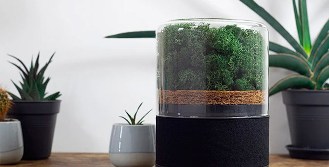 Дизайнеры создали компактный очиститель воздуха в виде микро-леса