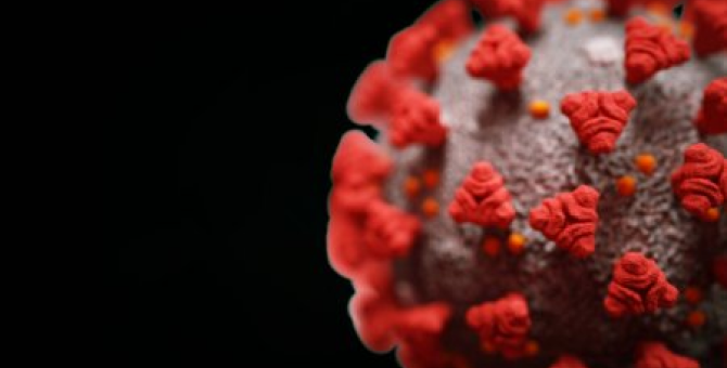В США обнаружили антитела для защиты клеток от коронавируса