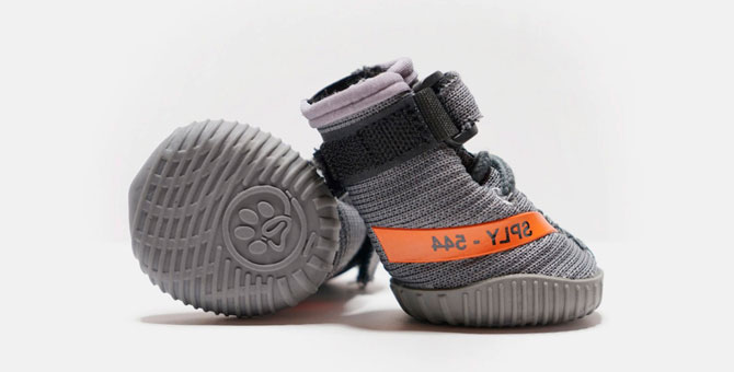 Fresh Pawz выпустил ботинки для собак по мотивам кроссовок Yeezy