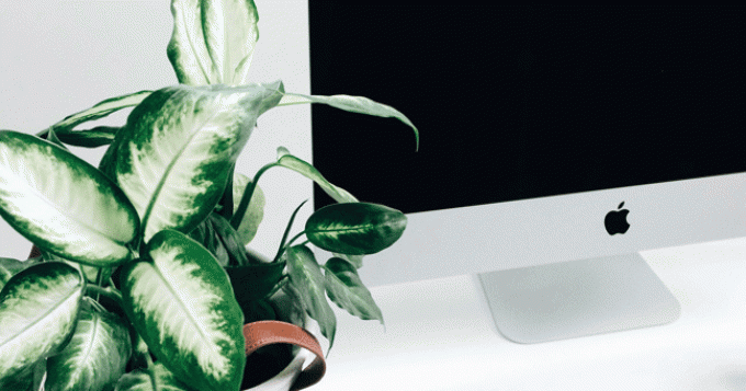 Стажеры в Facebook, Apple и Google получают больше, чем средний американец