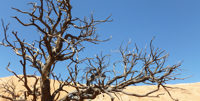 15 признаков токсичных отношений