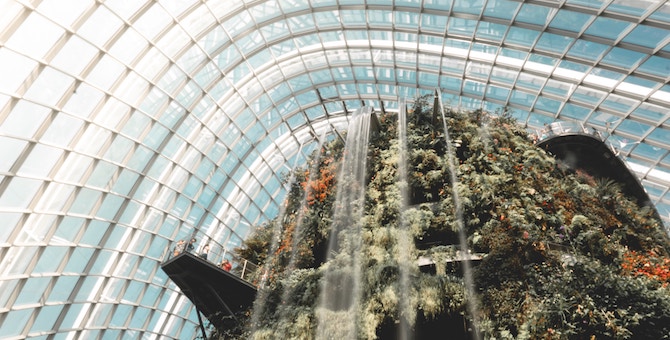 Что делать на новогодних каникулах в Сингапуре