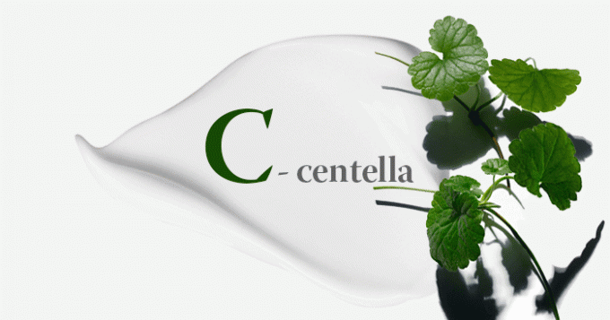 Словарь красоты Buro 24/7: C — centella