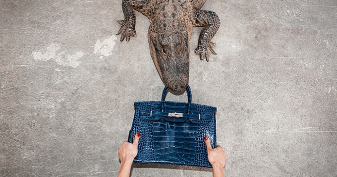 Почему поднялся такой шум вокруг истории PETA, Джейн Биркин и Hermès?