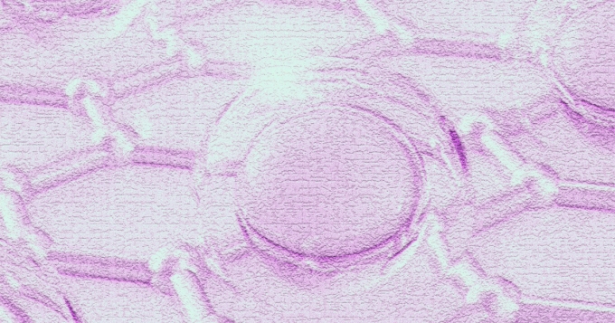 Коллаген и пищевые добавки: в каких продуктах искать источник белка и как он усваивается