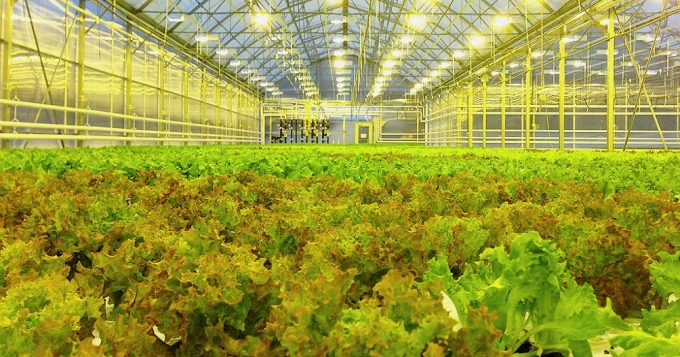 Новая оранжерея в Нескучном саду