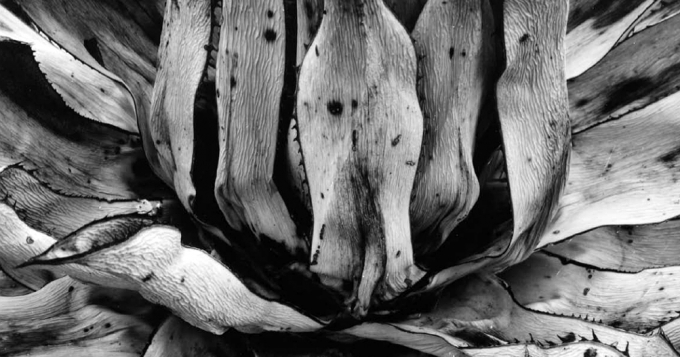 Ярмарка фотографии Foto Mix Fight в Москве