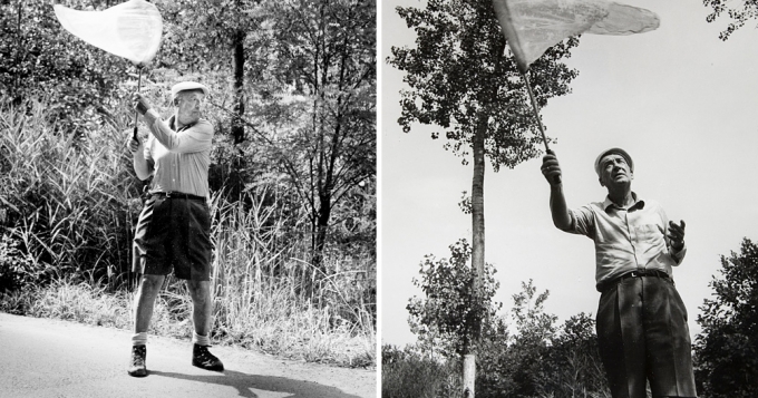 Былые профессии известных писателей