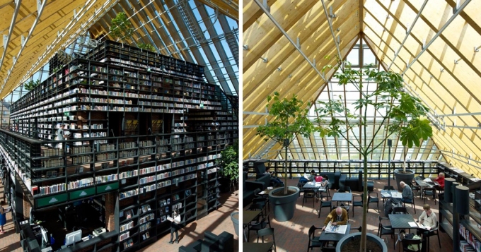 Книжная гора в Нидерландах