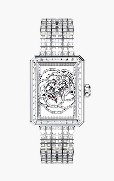 Première Squelette Camelia